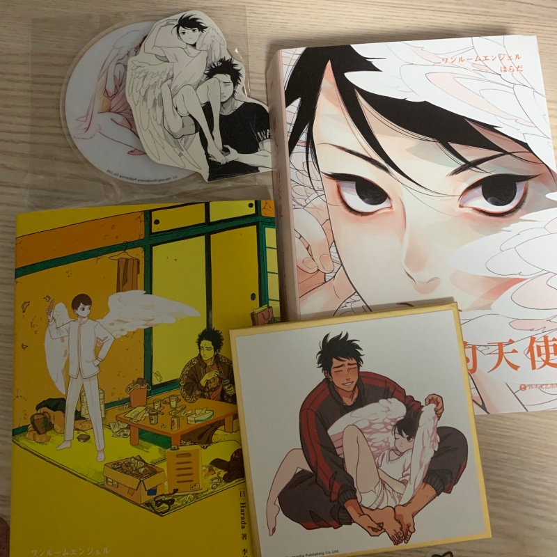Japanese Single Room Angel Ori - Japanese Lifestyle Books recension och pris