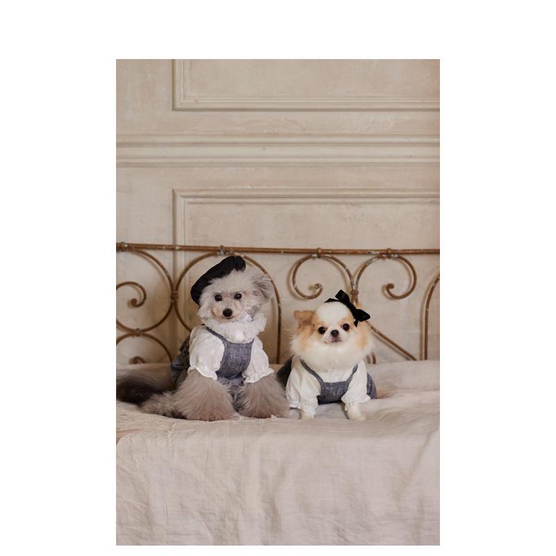 Cute Outfits for Small Dogs Ja - Japanese Lifestyle Books recension och pris